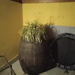 A Cà; Gialla Villanova d'Albenga