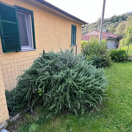 Apartment A Ca; Gialla *