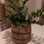 A Ca; Gialla * Villanova d'Albenga