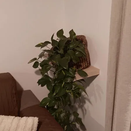 Appartement A Ca; Gialla Villanova d'Albenga