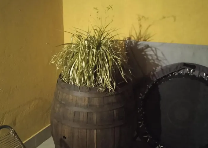 A Ca; Gialla 빌라노바 달벤가