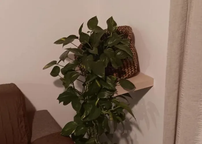 Apartmán A Ca; Gialla Villanova d'Albenga